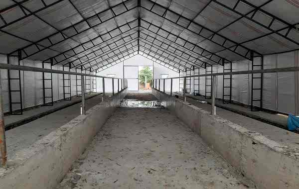 Büyükbaş Besi Çadırı