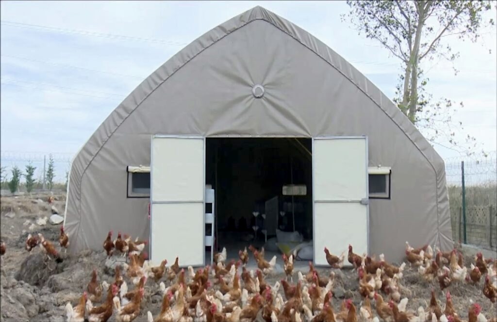 Kanatlı Hayvan Çadırları