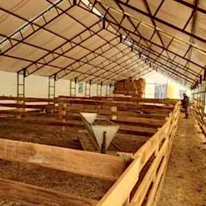 Koyun Çadırı Besane Amaçlı 7x14